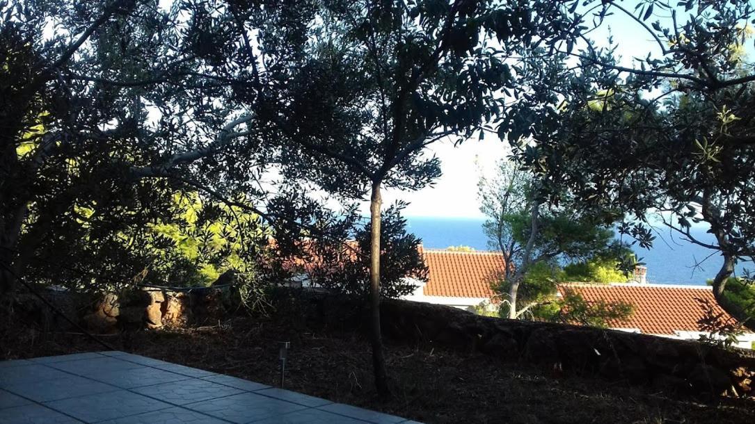 Tigrich Sveta Nedelja (Hvar)