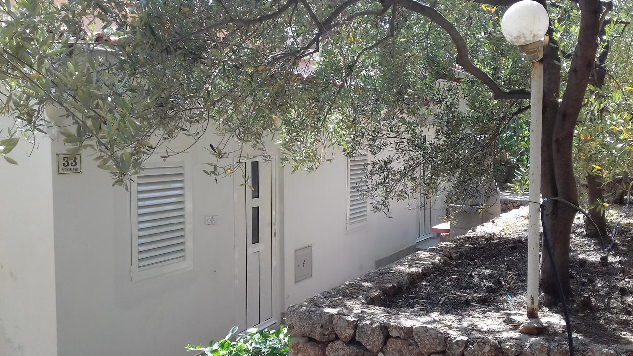 Apartament Tigrich *