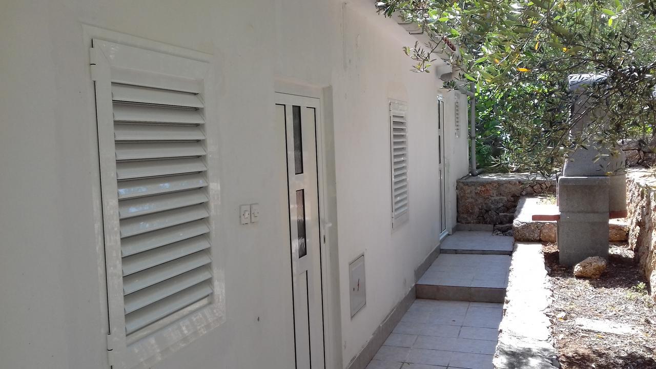 Apartament Tigrich *